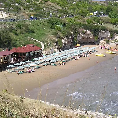 Casanova ויאסטה